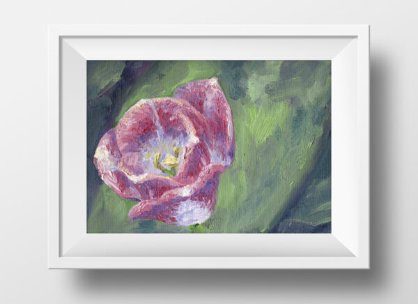 A Pink Tulip Floral Flower Original Oil Painting Andrew Gaia With Frame