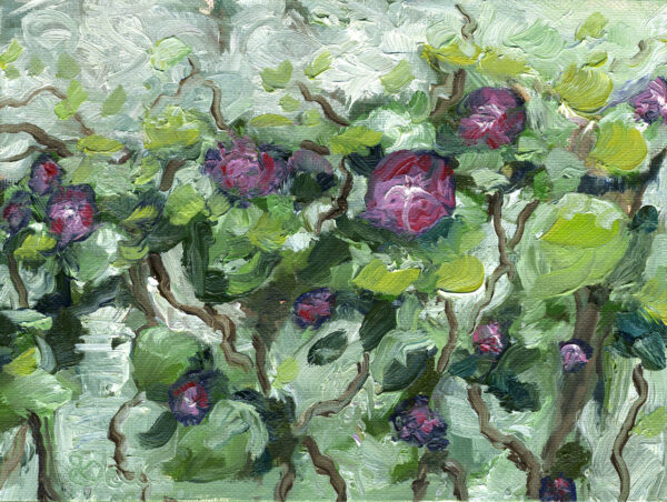 Morning Glories impressionism oil painting