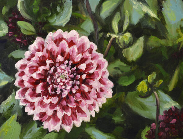 Pink Dahlia Oil Painting by Andrew Gaia