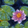 Pink Lotus and Lily pads oil painting andrew gaia
