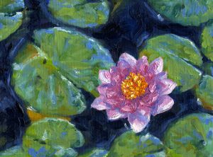 Pink Lotus and Lily pads oil painting andrew gaia