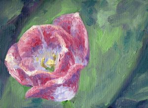 Pink Tulip Oil Painting Original Andrew Gaia Floral